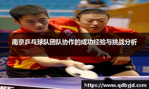 南京乒乓球队团队协作的成功经验与挑战分析